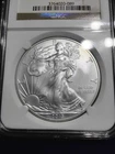 2013 American Eagle 1 oz .999 Silver NGC MS70 Business Strike 3764020-089