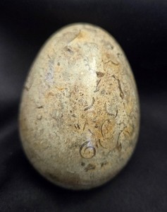 Fossil Egg Polished Rock Heavy Marble Paperweight