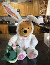 Disney Winnie the Pooh Plush Bunny Costume w/ Basket