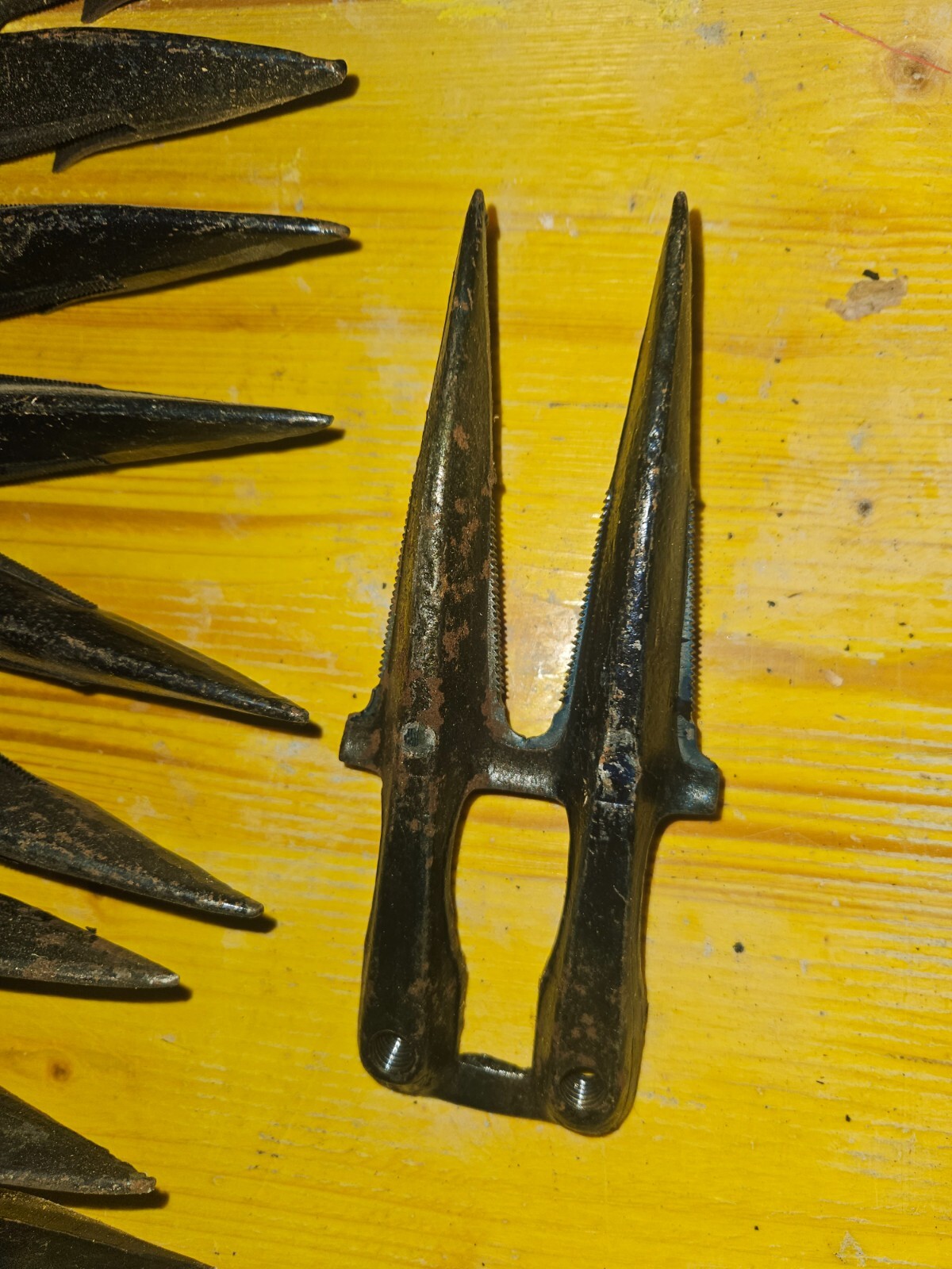 Dente doppio semifitto per motofalciatrice BCS Bertolini Bedogni, 13 pezzi