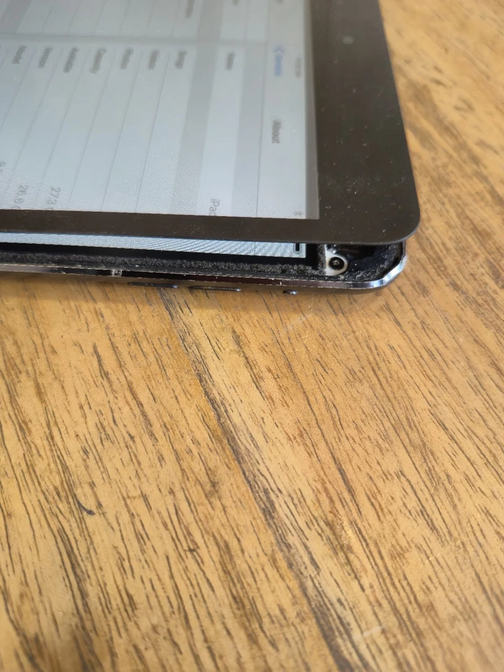 iPad mini - A1432 - 16GB - WiFi - Black - Tablet by Apple - Screen Lifting - Image 3 of 4