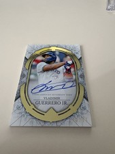 Vlad Guerrero Jr 2024 Topps Transcendent Auto /25 | Blue Jays Superstar 🔥
