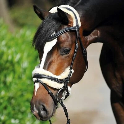 KAVALKADE ANTOMISCHER ZENSE ""EFEU"" MIT ECHTEN LAMMFELLZÜGELN