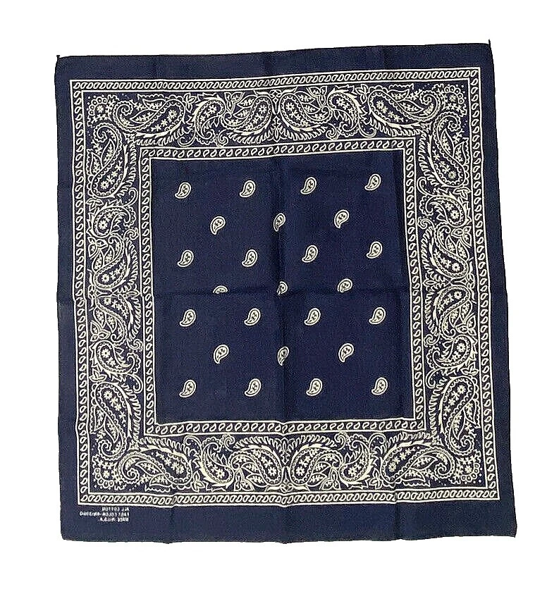 Pañuelos de mezcla de algodón con estampado de Cachemira para Hombres