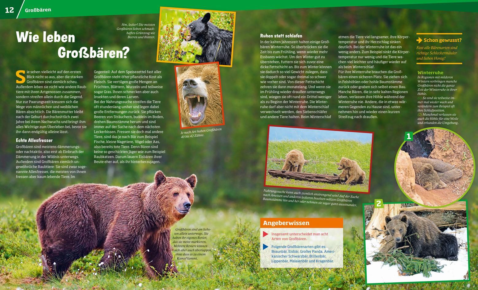 Thumbnail - Was Ist Was Band 115 Bären. Grizzly, Panda, Eisbär - Alexand ...