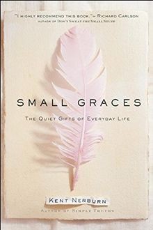 Small Graces: The Quiet Gifts of Everyday Life  von ... | Buch | Zustand wie neu