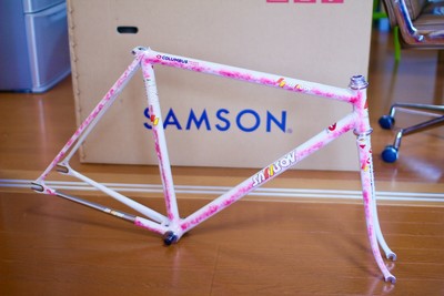 Samson Njs Frame Bicycle Frame Samson Njs Frame Samson Illusion