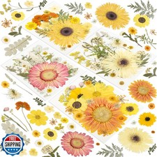 188 Pcs Dried Pressed Flowers for Resin Crafts, Real Natural Pressed Flowers