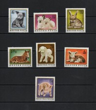 S9111 Ungarn 1974 Puppies, Kätzchen, Jung Tieren 7v. MNH