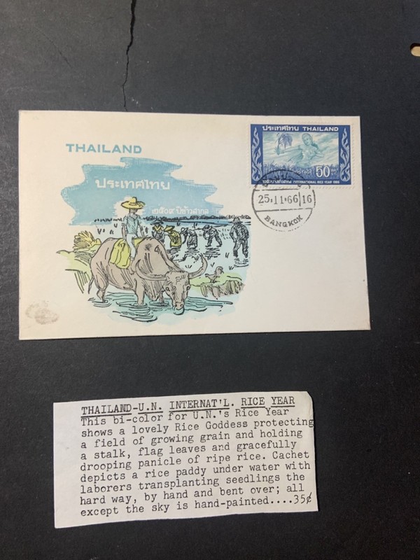 Thailand 1966 1st day Cover International Rice Year Overseas Mailers with insert