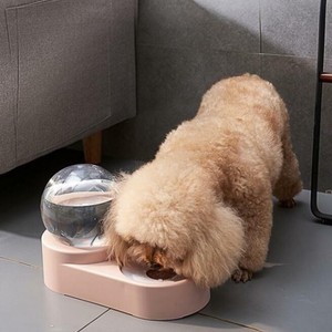 Automatic Dog Feeder Drinker Dual Use Dog Cat Bowl Pet Water
