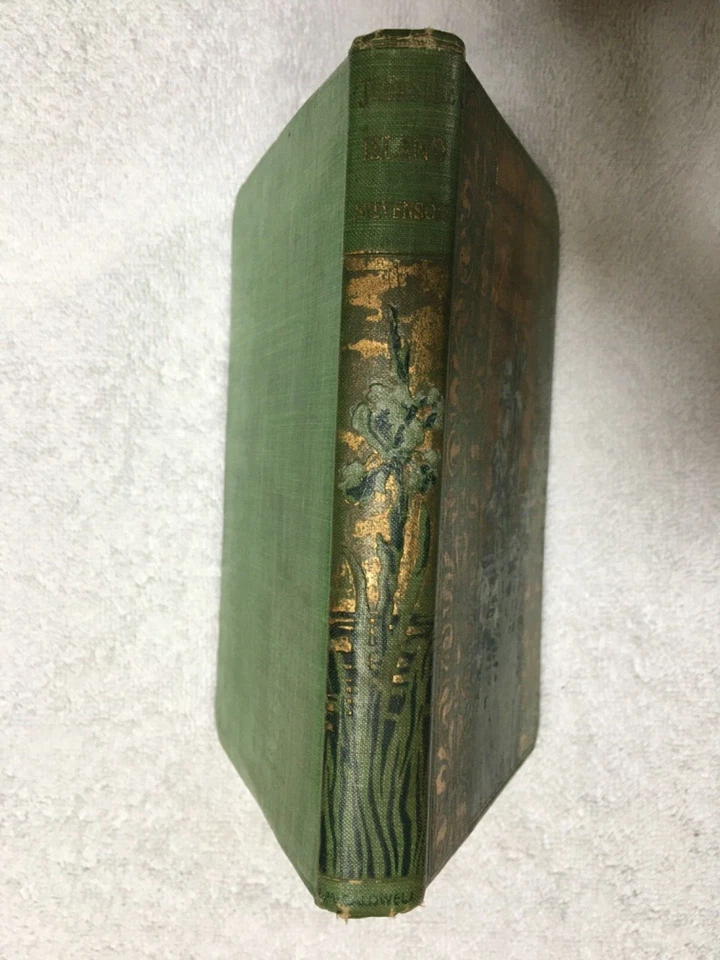 antique Book c.1898 Treasure Island by  Robert Louis Stevenson pub.Caldwell Co. Foto 3 de 4
