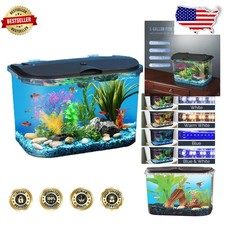 Complete 5-Gallon Fish Tank: LED Lighting, Internal Filter, Crystal-Clear Design