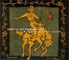 VARIOUS ARTIST - Down To Promised Land: 5 Years Of Bloodshot Records - 2 CD