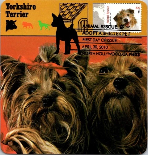 Dr Jim Stamps Maximum Card Animal Rescue Adopt A Pet 44C Fdc