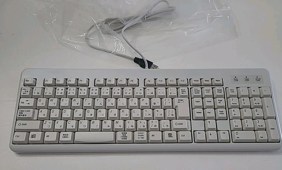 Teclado Completo USB Elecom Modelo TK-U12FYALG Diseño Japonés En Caja Leer ⬇️ Foto 4 de 4