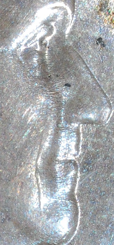 Picture 4 of 4