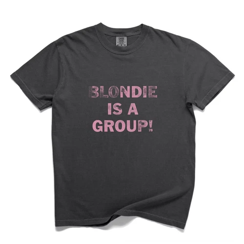 NWT Blondie Is A Group Ultra Faded Tee - product listing photo