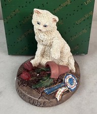 Whimsical LIVING STONE PERSIAN KITTEN “Booby Prize” Crazy Cat Figurine In Box