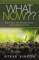 Steve Vinson | What Now?? | Taschenbuch | Englisch (2020) | Westbow Press