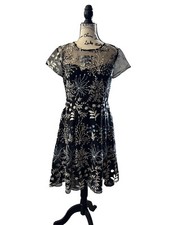 Adrianna Papell Floral Appliqué Fit & Flare Dress US 6