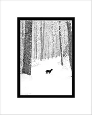 Duncan in the Snow Print, Note Card, Pen and Ink, Matted, Labrador Retriever