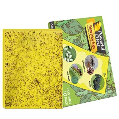 10 PACK Garden Sticky Traps Cucumber Beetle Trap Fruit Fly Trap Fly 6''x8'' Paper
