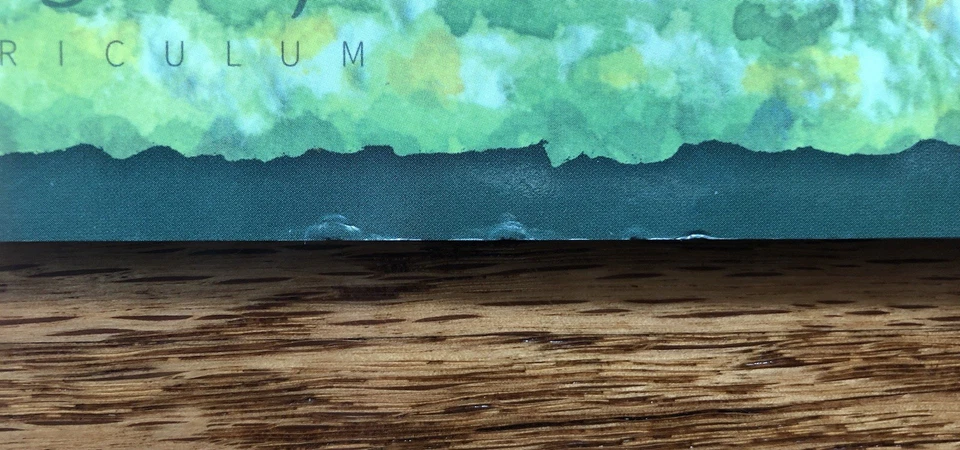 The Good and the Beautiful Typing 2 - Image 3 of 4