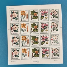 1998 Flowering Tree Magnolia Poplar Dogwood US Postage Stamps #3193-3197