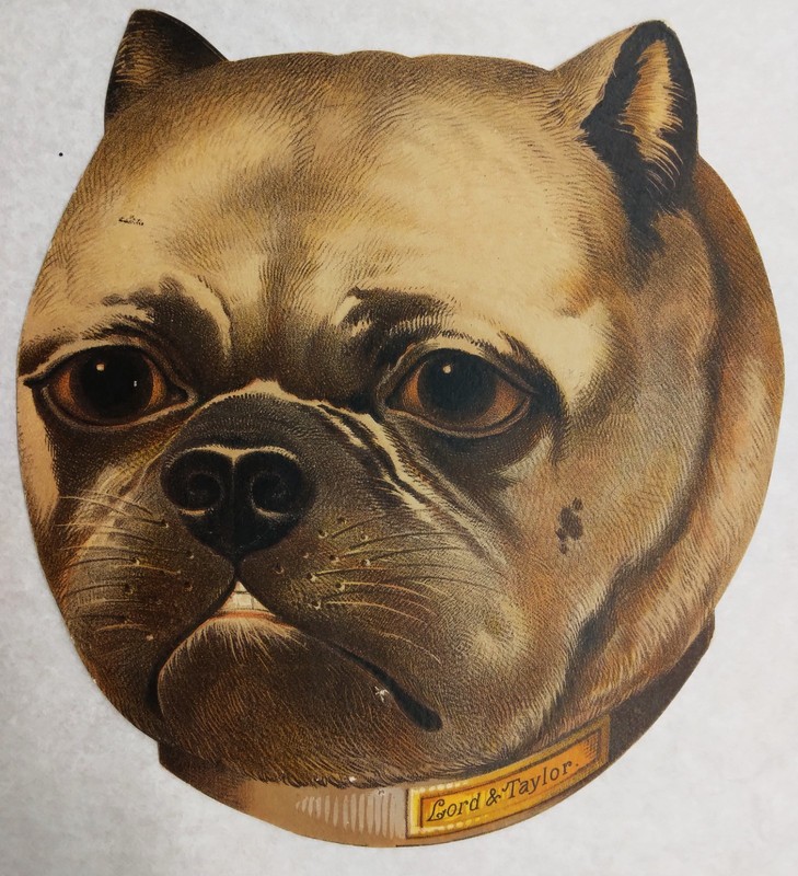 Wonderful and RARE c1881 Hand Ad Fan leaf for "Lord & Taylor" Bulldog