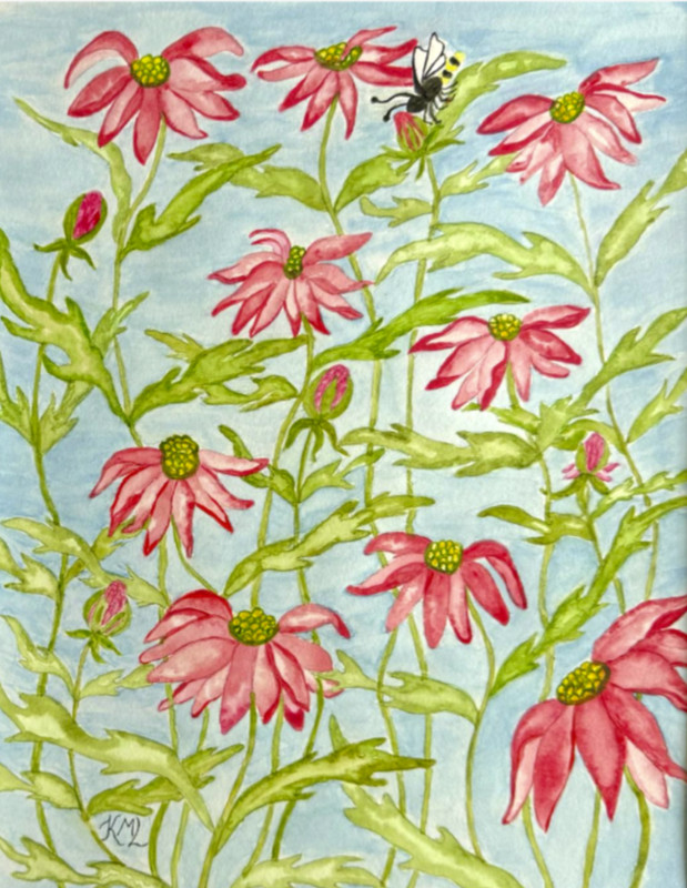 PAINTING WATERCOLOR ORIGINAL ART ASTER FLOWERS PINK RED GREEN 11X14 & 16X20 MAT