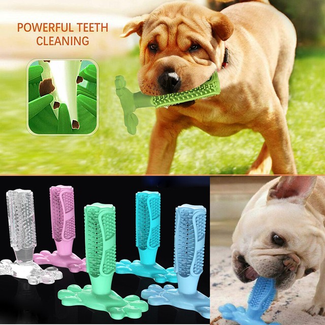 Dog Toothbrush Pet Brushing Stick Teeth Cleaning Chew Toy For Dogs Pet