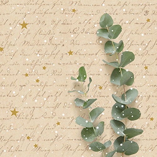 20 Servietten Winterstyle Winter BläTter Sterne Handschrift Tischdeko 33X33Cm-image
