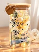 WunscherfüLler Geldgeschenk, LED Flaschenlicht Pusteblume Deko, Geldgeschenke Ve