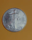 2004 American Silver Eagle $1 Dollar  .999 Fine 1 oz. Uncirculated