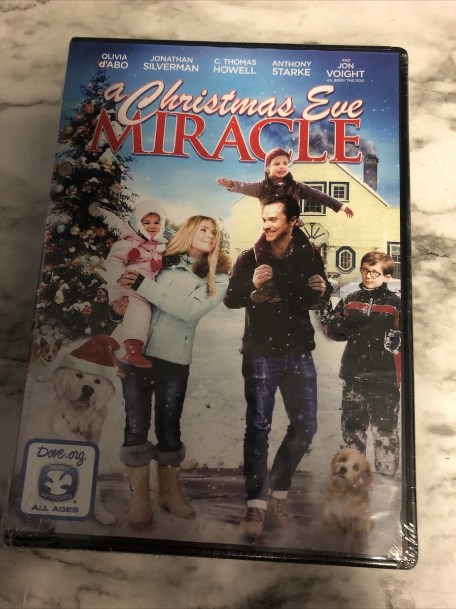 A Christmas Eve Miracle (DVD, 2015) BRAND NEW - Free Shipping