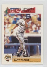 1993 Panini Album Stickers Gary Varsho #287 fm0