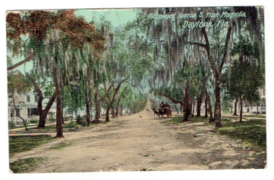 Ridgewood Avenue S from Magnolia Daytona Florida FL Postcard Horse Carriage