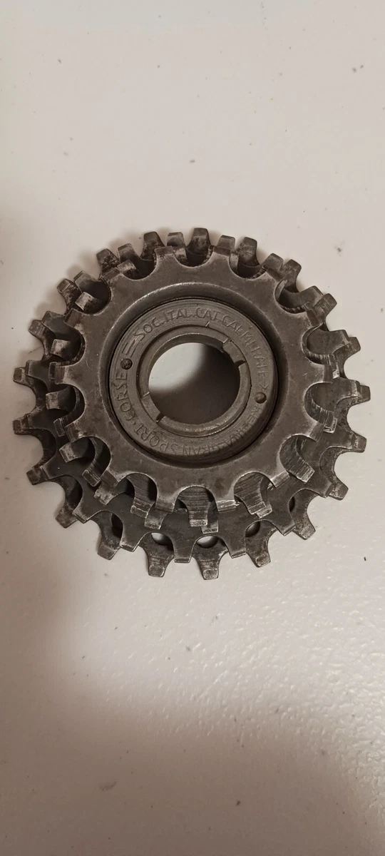 Regina Freewheels 5 Speeds for sale | eBay