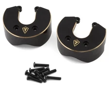Treal Hobby Axial AXP8 Gilamon Rear Brass Counterweights (122.05g ea)