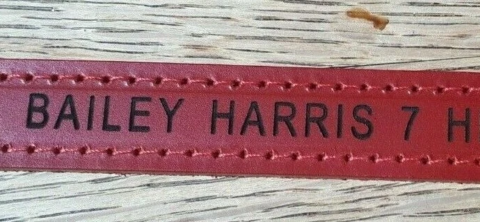 Cuello Ancol Clásico Cuero Perro Liso o Personalizado Cuero Inglés Premium Foto 2 de 4