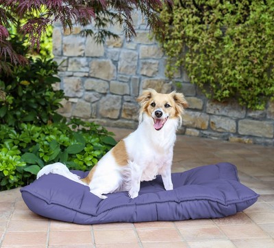 Sogni E Capricci Pets Wasserdichte Fußmatten – Set Mit 4 Matten, 71x57 Cm, Für Hunde & Katzen, Gepolstert