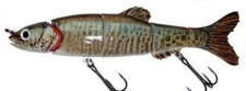 Matzuo America Doragon 6" Jointed Life Like Swim Tiger Minnow  3-5' depth