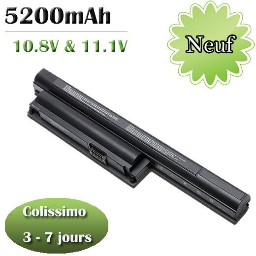 Batterie pour Sony VAIO VPCEB40JOE avec cellules durables de rechange