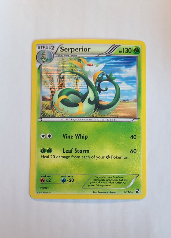 Pokemon 2010 Black & White Base Serperior 5/114 Holo Rare NM
