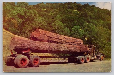 Vintage Log Truck Postcard Huge Logs Kodachrome Color Card Berkeley CA