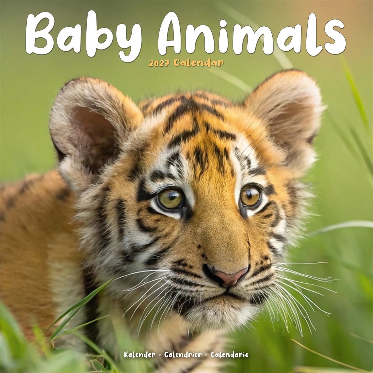 Baby Animals Calendar 2027, Wall Calendars, Month To View, Animals, Gift