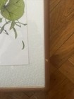 Korean Vintage Water Color  Painting ( Lemons ) Signed. 17”x 25” Wood/Glass — photo 4
