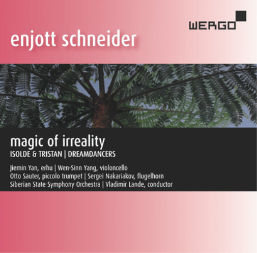 Enjott Schneider Enjott Schneider: Magic of Irreality (CD) Album