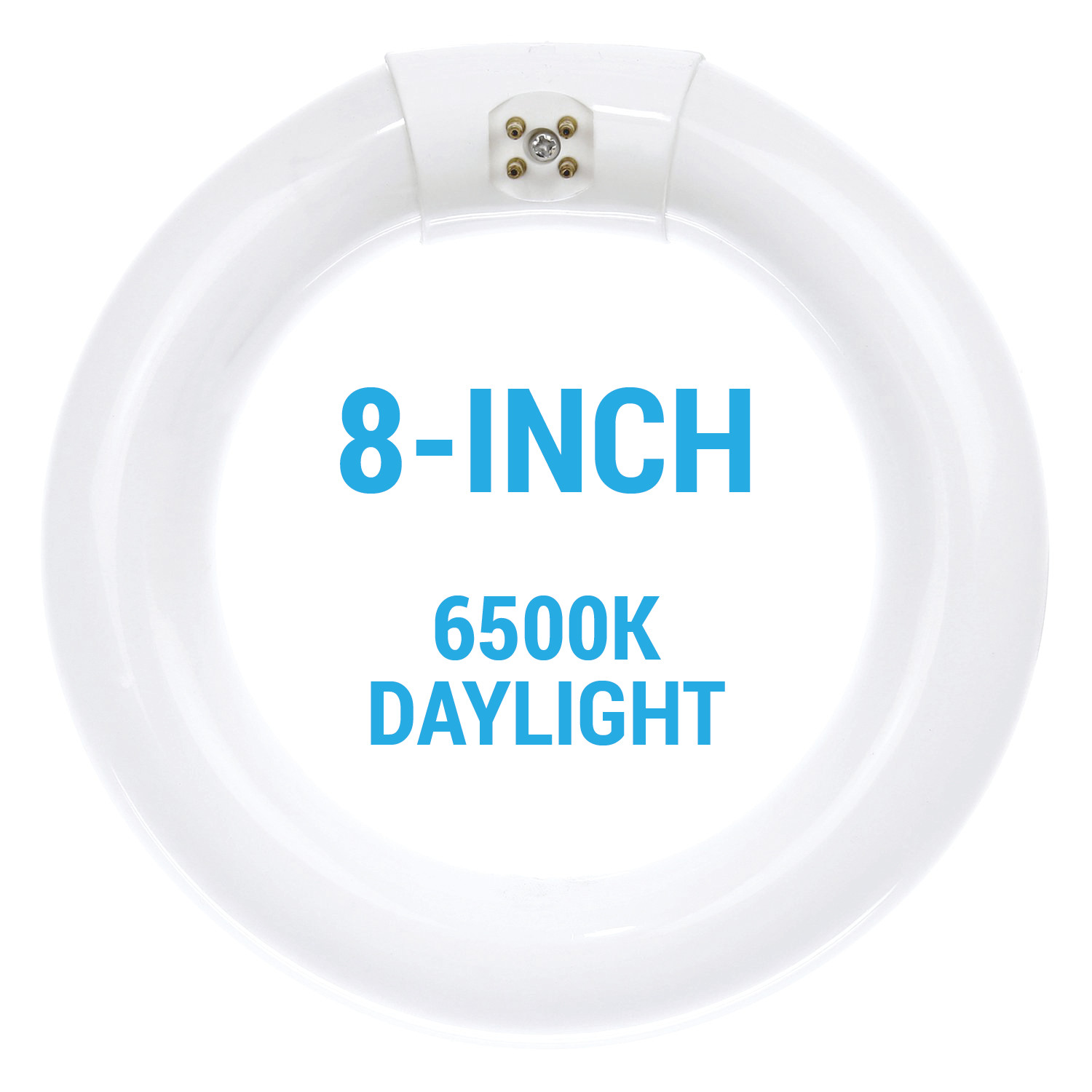 FC8T9/DL Fluorescent 8-Inch Circline Bulb 22W T9 6500K Dayli